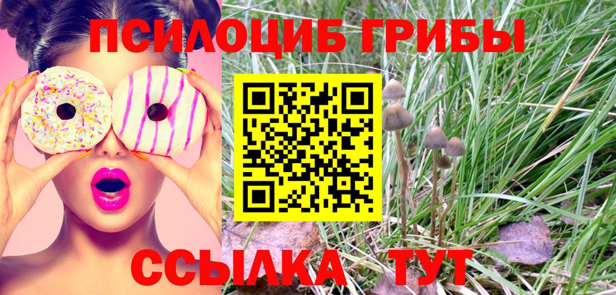 Семилуки  Галлюциногенные грибы Psilocybine cubensis  где можно купить   Вход с VPN 