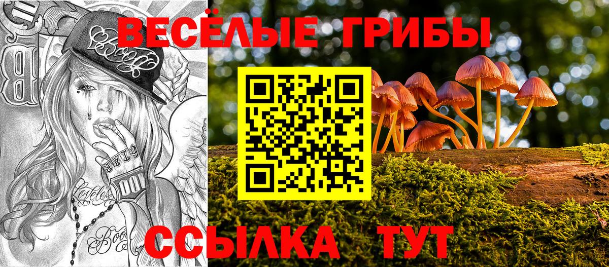 Галлюциногенные грибы мицелий Семилуки